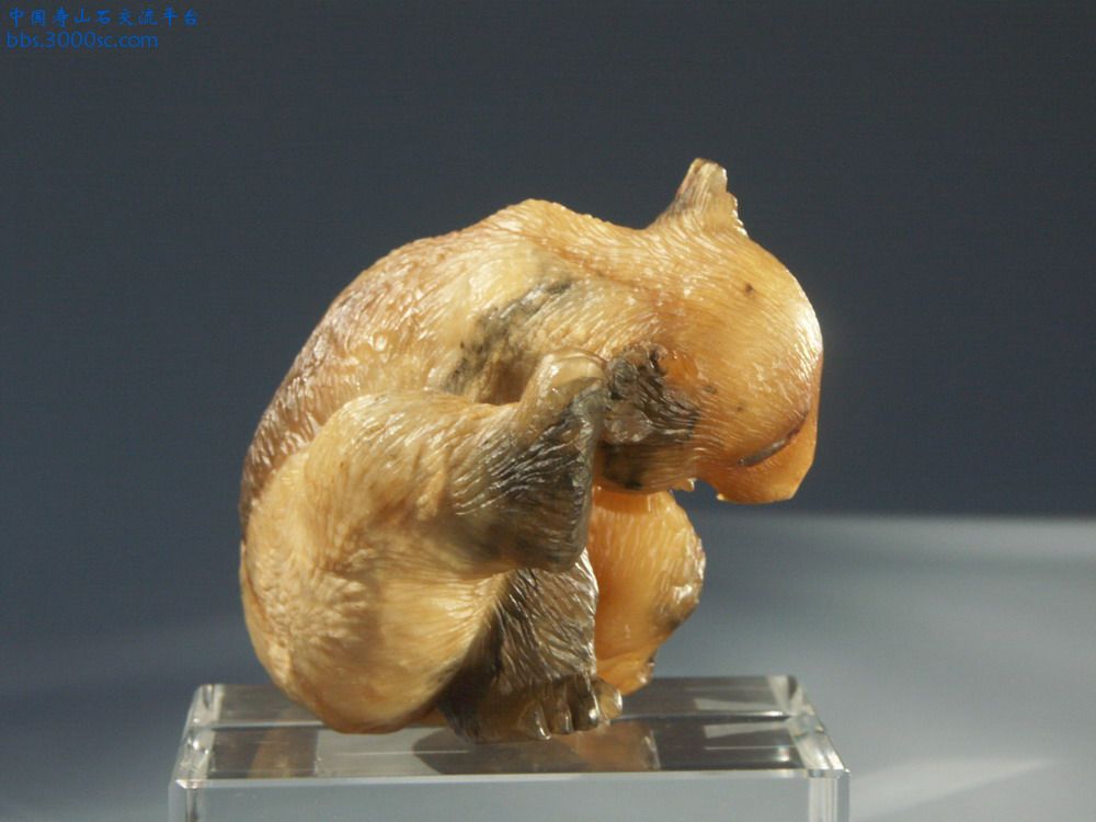 99c_大小.JPG